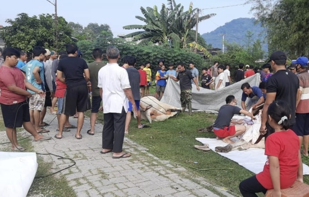 Warga LDII Banten Memperingati Hari Raya Kurban dengan Semangat Tinggi