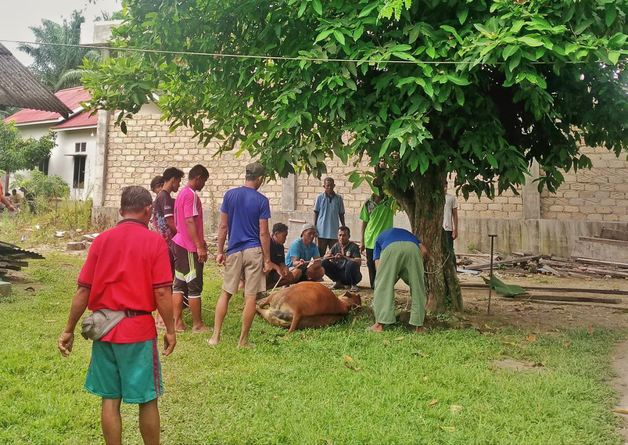 Kurban LDII Kampar Capai 135 Ekor, Gerakkan Ekonomi Rp1,6 Miliar
