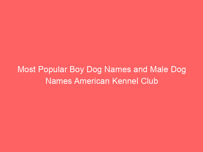 Most Popular Boy Dog Names and Male Dog Names American Kennel Club